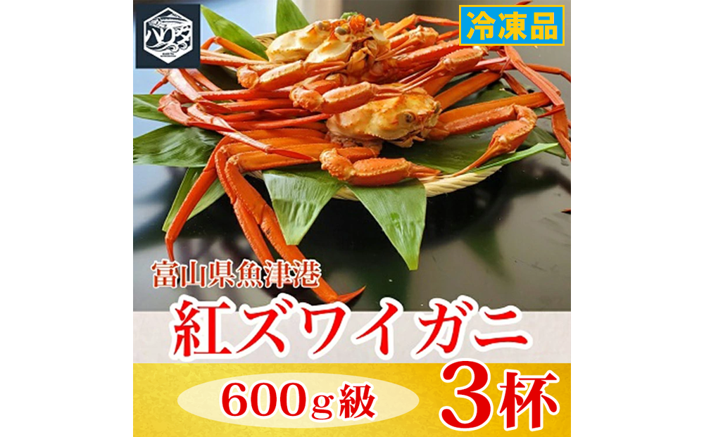 【冷凍】自社漁船直送！魚卸問屋の紅ズワイガニ 600g級×3ハイセット｜かに カニ 蟹 国産ずわい蟹 ずわいガニ 紅ズワイ蟹 紅ずわいがに 紅ずわい蟹 ボイル セットかにしゃぶ 魚貝類 魚介類 海鮮 鮮魚 新鮮 蟹飯 人気 豪華 ご褒美 贅沢 お取り寄せ グルメ カニ味噌 ※2026年9月～発送