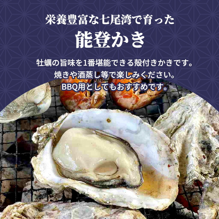 石川県七尾産 能登かき 殻付き（約20個） ※2026年12月～発送