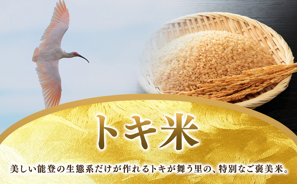 万行希望の丘農園 こしひかり 玄米 5kg｜米 玄米 能登 里山 里海 石川県 七尾市 能登半島