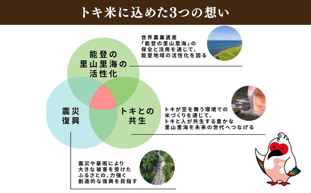 万行希望の丘農園 こしひかり 玄米 5kg｜米 玄米 能登 里山 里海 石川県 七尾市 能登半島