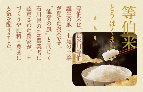 令和7年産 等伯米こしひかり10kg(5kg×2袋) ｜ 世界農業遺産に認定された『能登の里山里海』で育まれたお米 石川県 七尾市 能登 ※2026年6月～発送