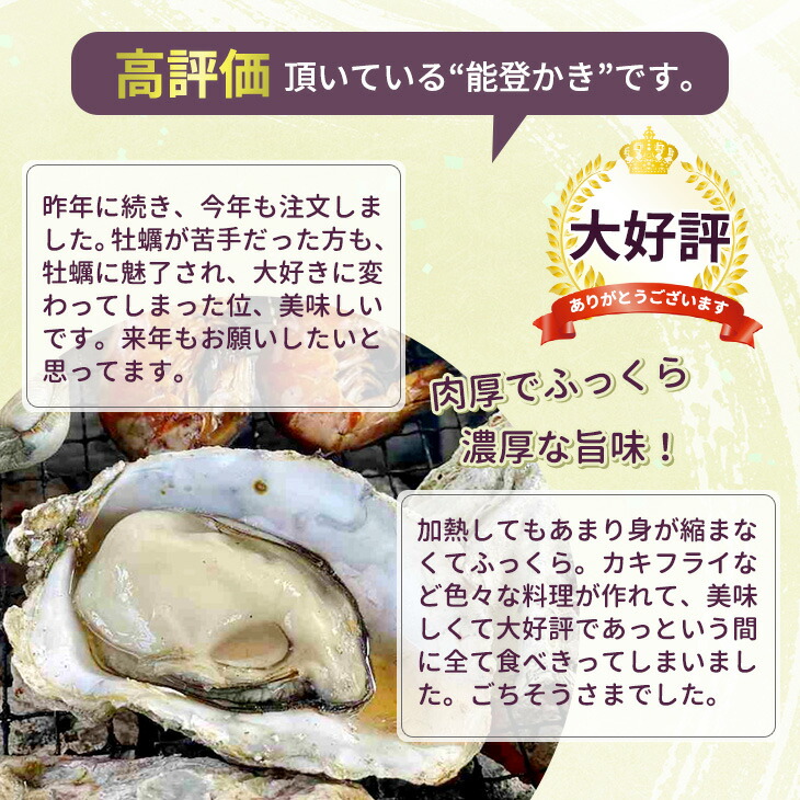 石川県七尾産 能登かき 殻付き（約20個） ※2026年12月～発送