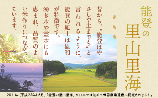 【令和8年産】能登米コシヒカリ 5kg×1袋 ｜ 世界農業遺産に認定された『能登の里山里海』で育まれたお米 国産 石川県 七尾市 ※2026年10月～発送