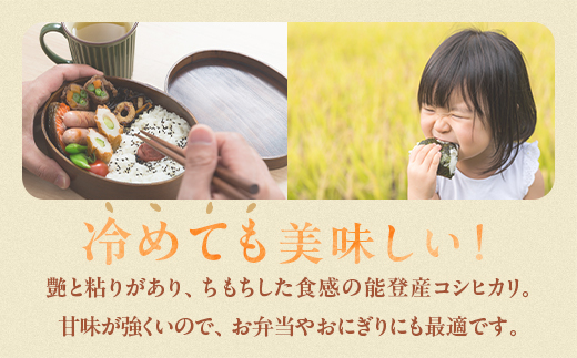 【令和8年産】等伯米コシヒカリ 5kg×1袋 ｜ 世界農業遺産に認定された『能登の里山里海』で育まれたお米 石川県 七尾市 能登 ※2026年10月～発送