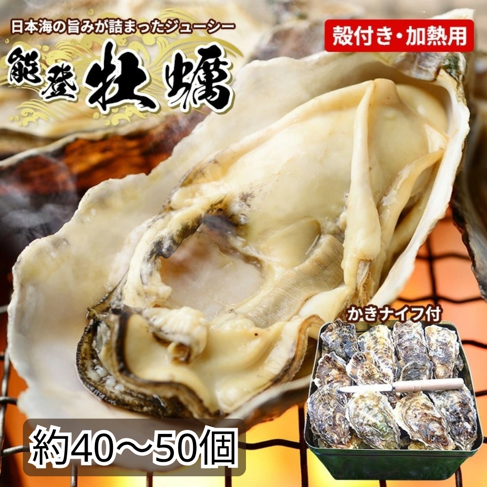 魚介類 牡蠣 / 能登かき / 殻付き・加熱用・半斗缶［約40〜50個］ ※2026年12月～発送 ※離島への発送不可