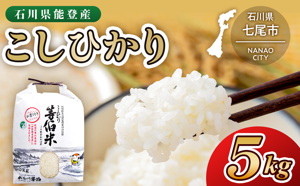 【令和8年産】等伯米コシヒカリ 5kg×1袋 ｜ 世界農業遺産に認定された『能登の里山里海』で育まれたお米 石川県 七尾市 能登 ※2026年10月～発送