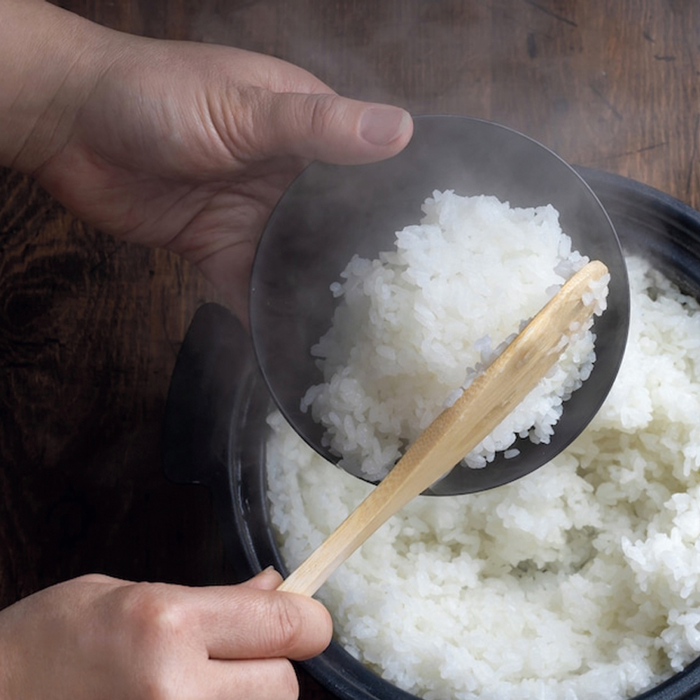 【定期便 月1回（年12回）】御米（5kg）コシヒカリ 精米