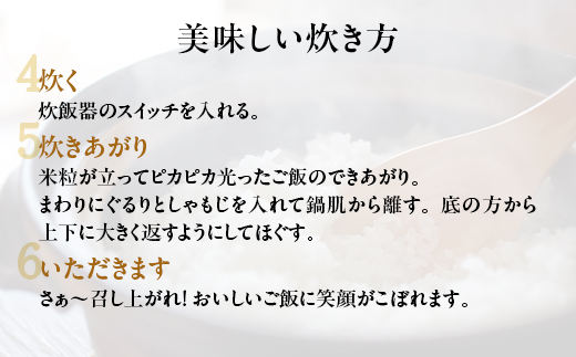 【令和8年産】能登米コシヒカリ 5kg×1袋 ｜ 世界農業遺産に認定された『能登の里山里海』で育まれたお米 国産 石川県 七尾市 ※2026年10月～発送