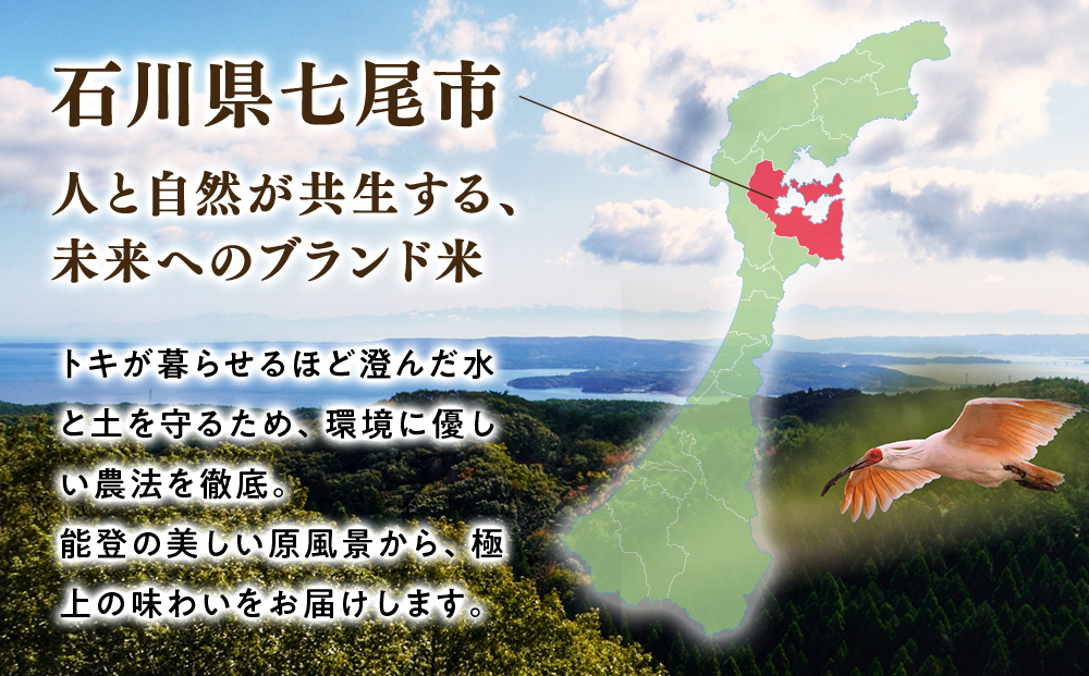 万行希望の丘農園 こしひかり 玄米 5kg｜米 玄米 能登 里山 里海 石川県 七尾市 能登半島