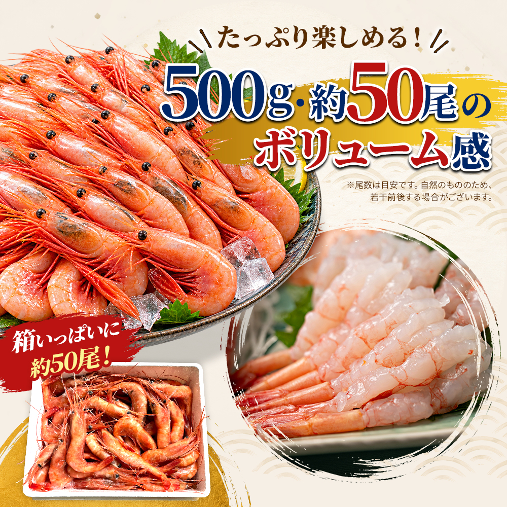 甘えび 刺身 500g 約50尾 越前甘えび 子なし 生食用 冷凍 えび エビ 海老 甘海老 あまえび 海鮮 魚介 魚介類 国産 日本海 福井県 若狭町