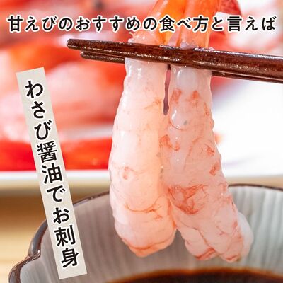 甘えび 子なし 500g 約50尾 越前甘えび えび 海老 刺身 冷凍 魚介 魚介類 海鮮 高評価