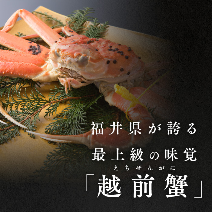 訳あり茹で越前ガニ 500g以上×1杯(脚折れ) カニ ズワイガニ ボイル 福井県