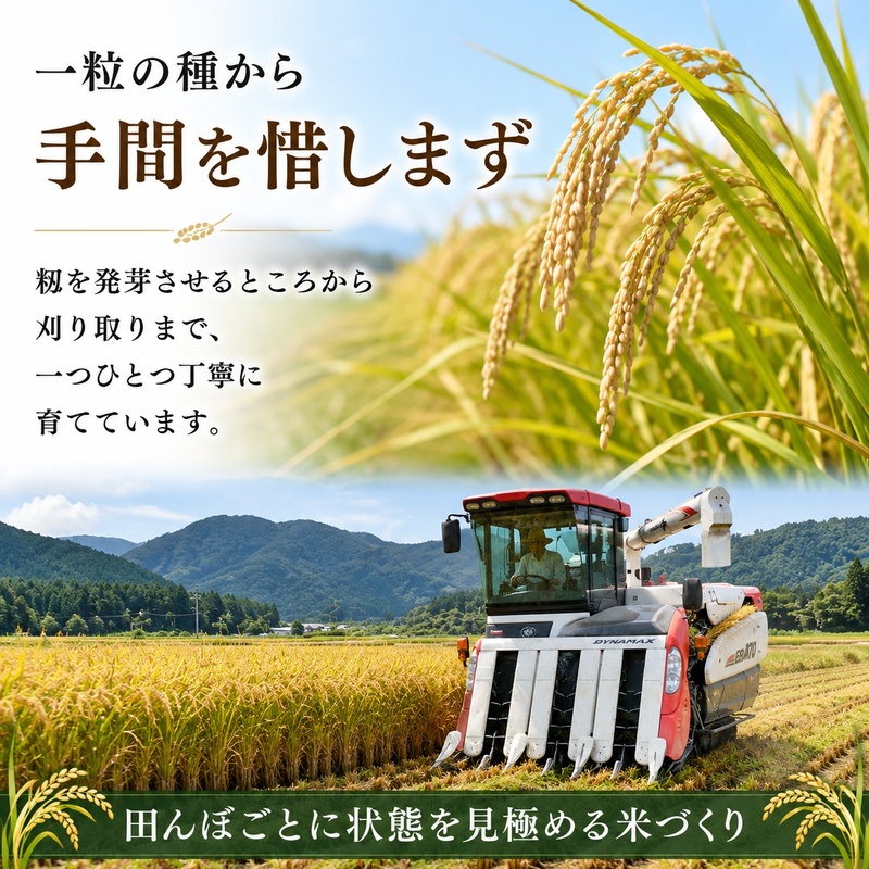 令和8年産 福井県若狭町 あきさかり （一等米） 20kg（神谷農園） 5kg×4袋 お米 ブランド米 銘柄米 ご飯 おにぎり お弁当 産地直送 和食 主食