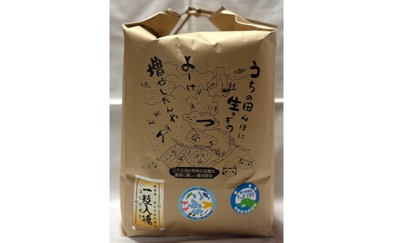 栽培期間中 減農薬コシヒカリ 白米5kg 6ヶ月定期お届け  お米ブランド米 精米 ご飯 おにぎり お弁当 和食 福井県認証特別栽培米 粘り 香り 旨み つや 