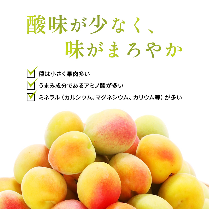無糖の梅酒BENICHU38°（750ml×3本） お酒 洋酒 リキュール