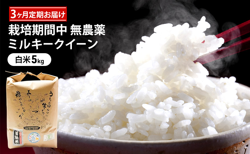 栽培期間中 無農薬ミルキークイーン 白米5kg 3ヶ月定期お届け お米ブランド米 精米 ご飯 おにぎり お弁当 和食 福井県認証特別栽培米 もちもち 冷めてもおいしい 