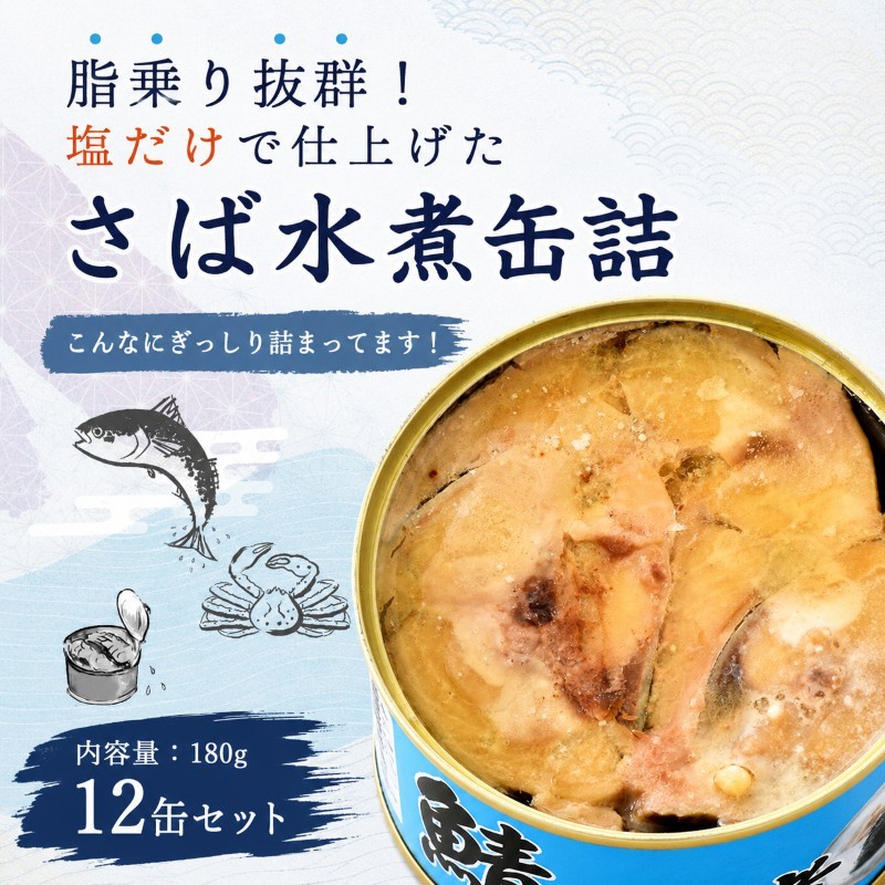 サバ缶 水煮 12缶 セット 缶詰 サバ水煮 サバ水煮缶 さば おかず 惣菜 常温保存 備蓄
