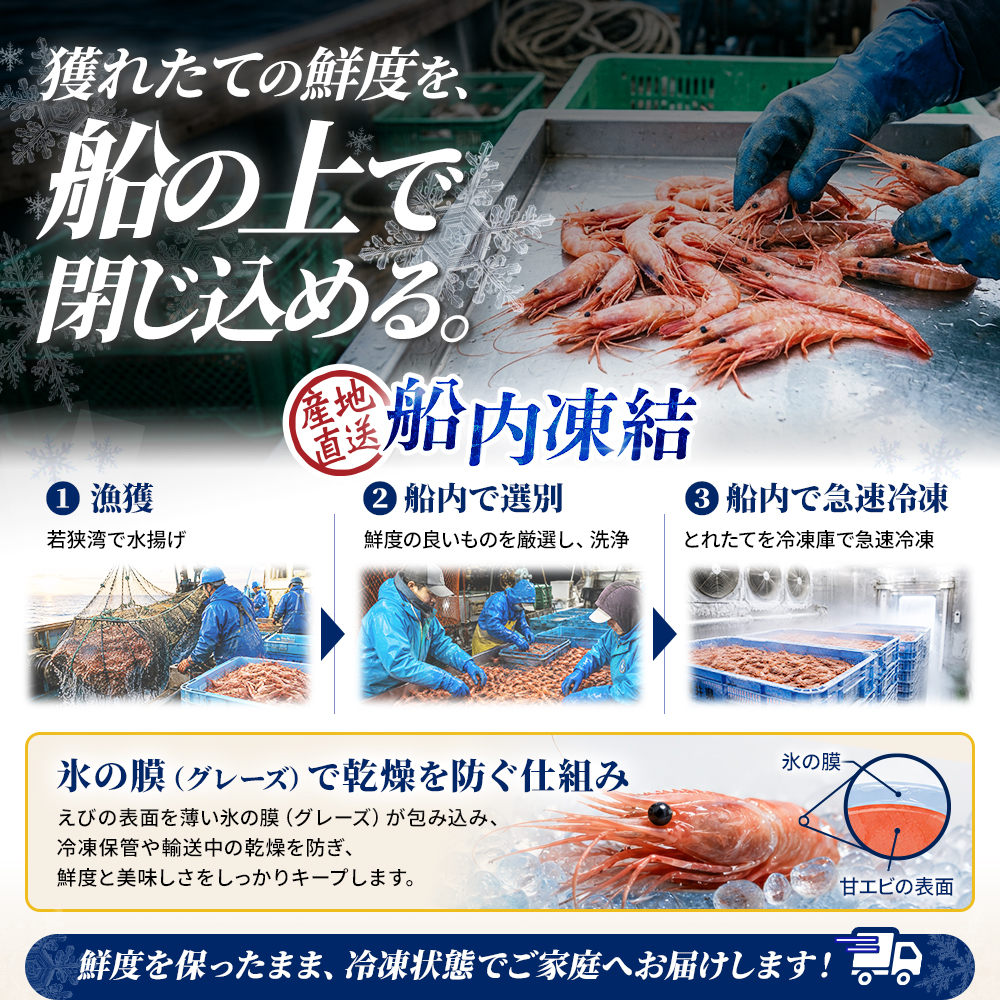 甘えび 刺身 500g 約50尾 越前甘えび 子なし 生食用 冷凍 えび エビ 海老 甘海老 あまえび 海鮮 魚介 魚介類 国産 日本海 福井県 若狭町