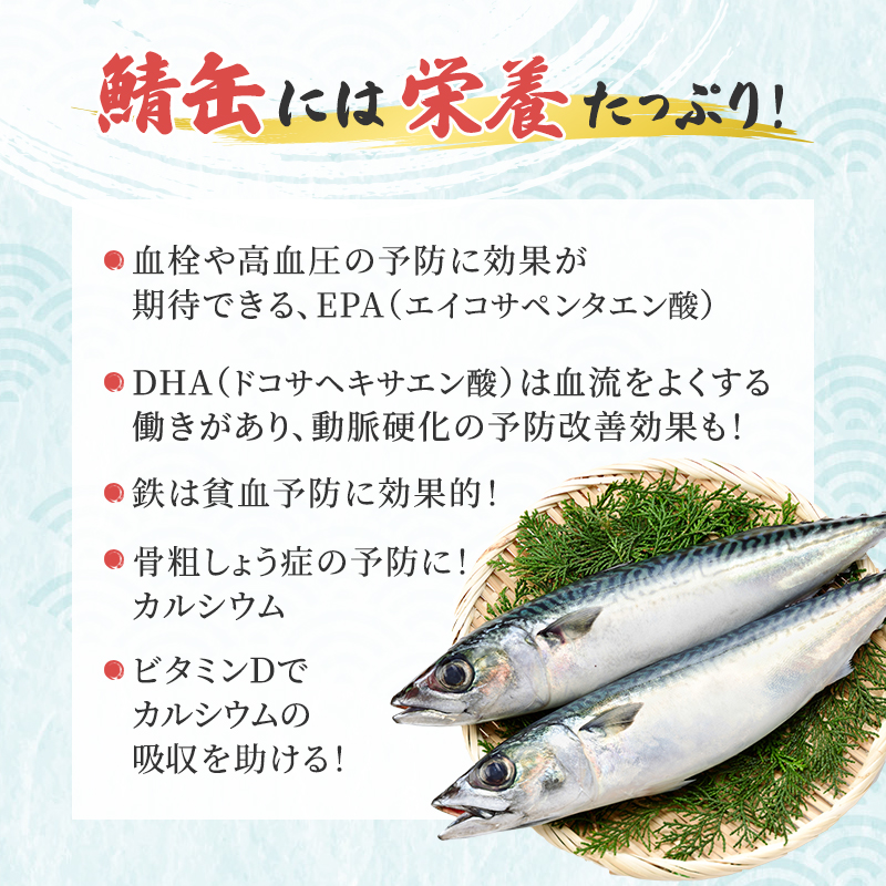サバ缶 若狭の鯖缶 3種 食べ比べ 6缶 セット しょうゆ 生姜入り 唐辛子入り 鯖缶 さば サバ 鯖 缶 缶詰 魚 魚介 魚介類 海鮮 福井 若狭町 福井県若狭町 
