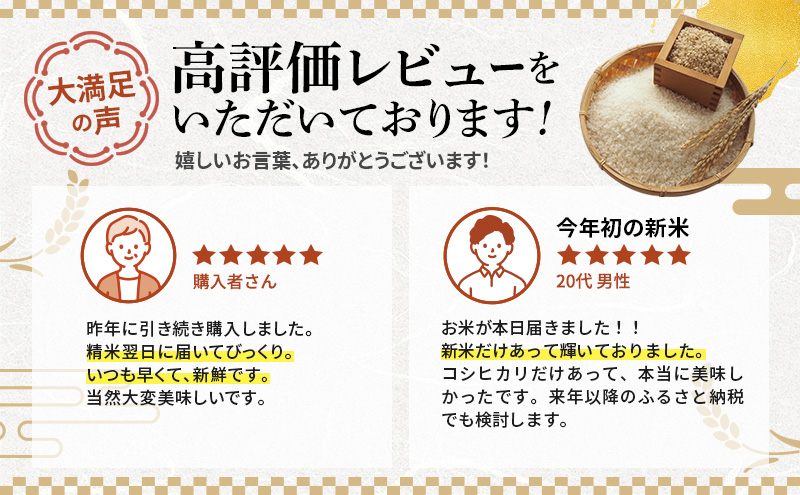 米 令和8年産 特A コシヒカリ 10kg 白米 精米 単一原料米 ブランド米 高評価
