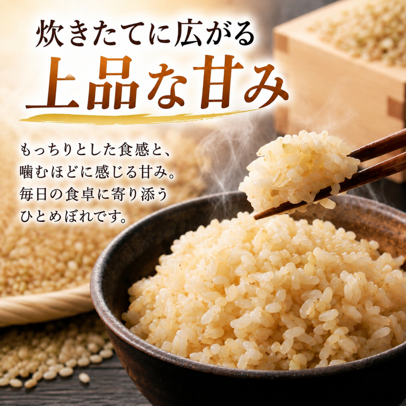 令和8年産福井県若狭町ひとめぼれ（一等米）玄米 10kg（神谷農園） 5kg×2袋 お米 ブランド米 銘柄米 ご飯 おにぎり お弁当 産地直送 和食 主食