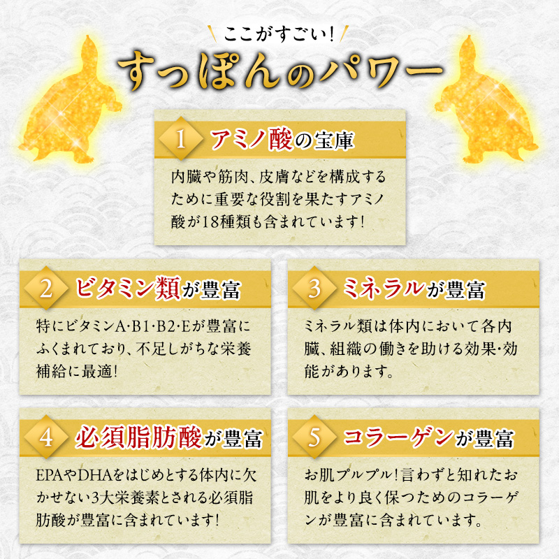 鍋セット 若狭すっぽん鍋セット 1～2人前 食べ方のしおり付 すっぽん 鍋 すっぽん鍋 セット 1人前 2人前 福井 若狭町 福井県若狭町 