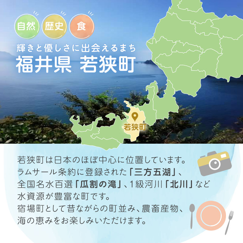 旅行 若狭町 プレミアム宿泊利用券 6000円分 1枚 宿泊補助券 福井県 福井 チケット 宿泊券 旅行券 宿泊 旅館 ホテル 6千円 福井県若狭町 