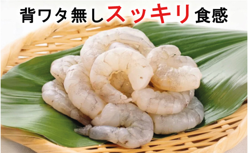 越前若狭食宝庫の高級むきえび【ホワイトバナメイエビ冷凍】800g /約90～100尾x2 海老 