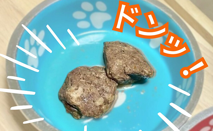 鹿肉ドッグフード　鹿肉ミートボール（犬用）　10パック（約60g×10） 加工食品 お肉 家族 健康 食事 大切 ペット 自然 新鮮 動物 高品質 安心 安全 国産 子犬 老犬 栄養 小分け 