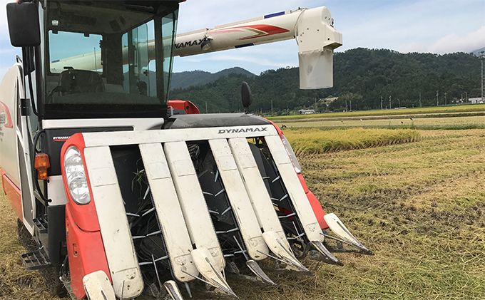 令和8年産福井県若狭町つきあかり（一等米）玄米 10kg（神谷農園） 5kg×2袋 お米 ブランド米 銘柄米 ご飯 おにぎり お弁当 産地直送 和食 主食