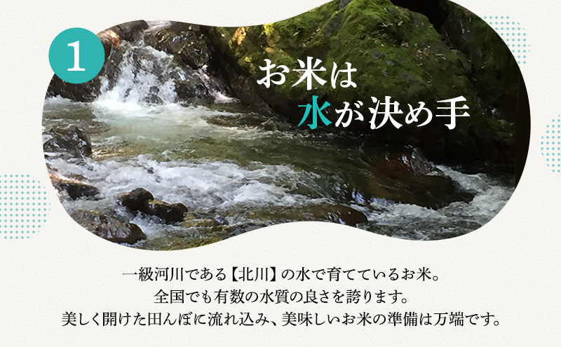 【3月お届け】若狭町コシヒカリ10kg 米 お米 こしひかり 福井県