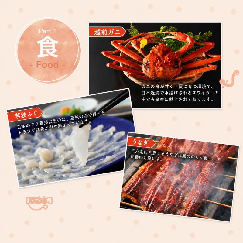 旅行 若狭町 プレミアム宿泊利用券 12000円分 1枚 宿泊補助券 福井県 福井 チケット 宿泊券 旅行券 宿泊 旅館 ホテル 1万2千円 福井県若狭町 