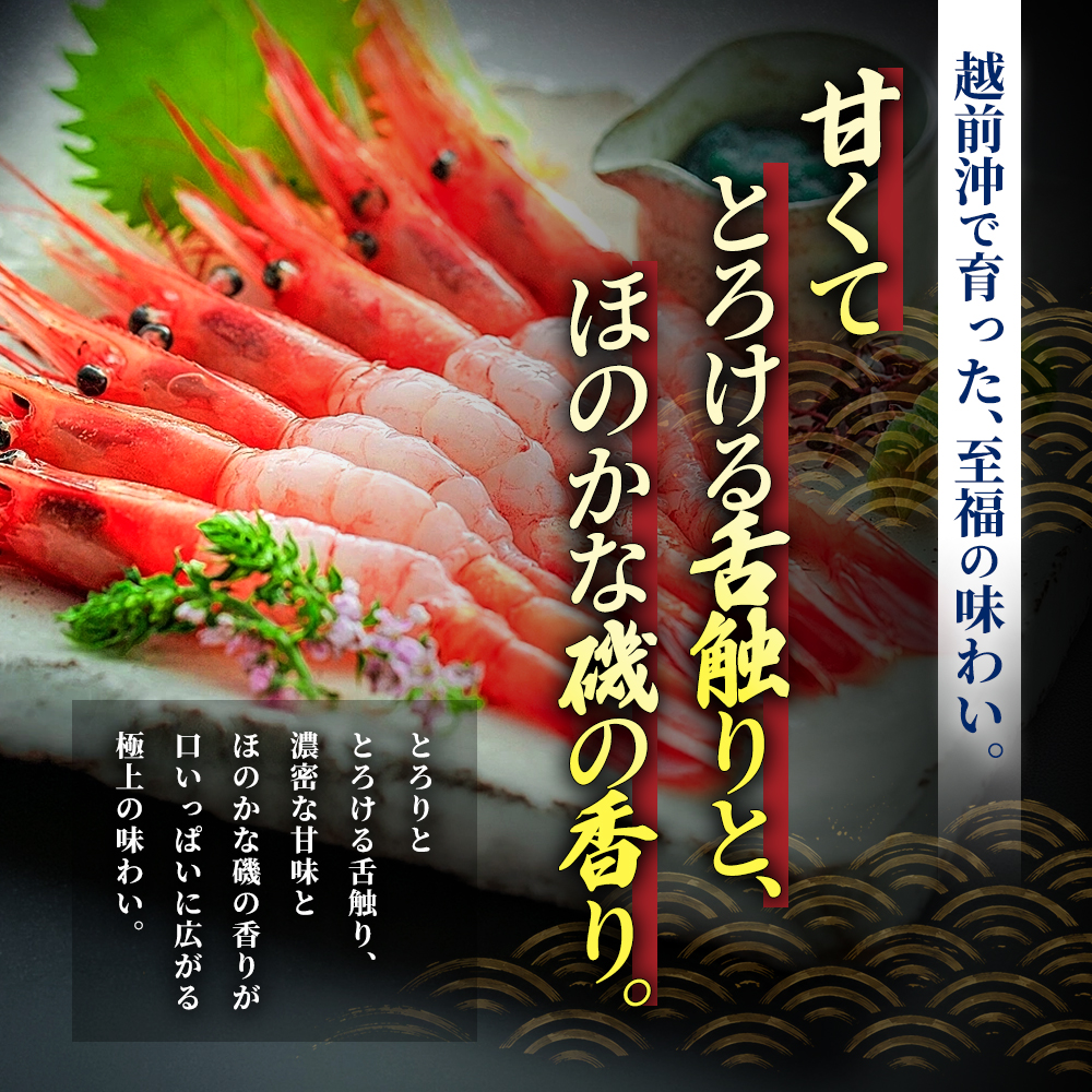 甘えび 刺身 500g 約50尾 越前甘えび 子なし 生食用 冷凍 えび エビ 海老 甘海老 あまえび 海鮮 魚介 魚介類 国産 日本海 福井県 若狭町
