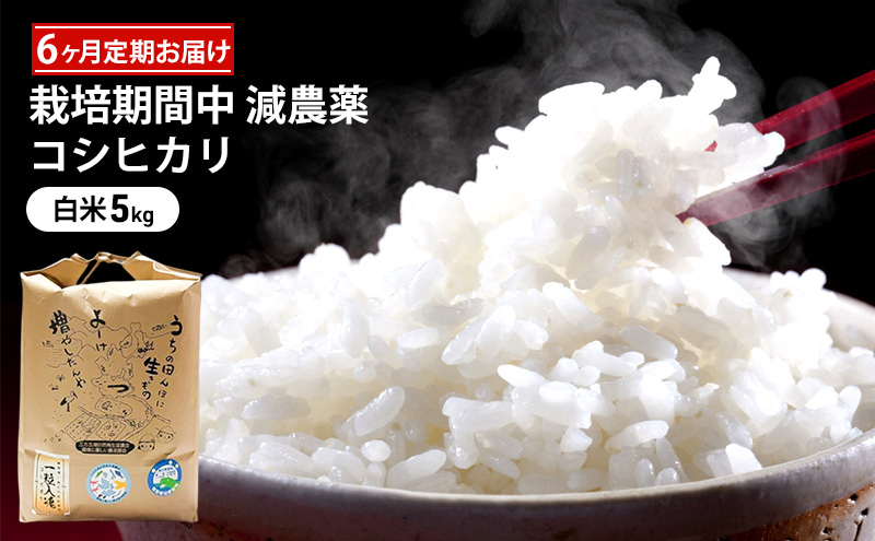 栽培期間中 減農薬コシヒカリ 白米5kg 6ヶ月定期お届け  お米ブランド米 精米 ご飯 おにぎり お弁当 和食 福井県認証特別栽培米 粘り 香り 旨み つや 