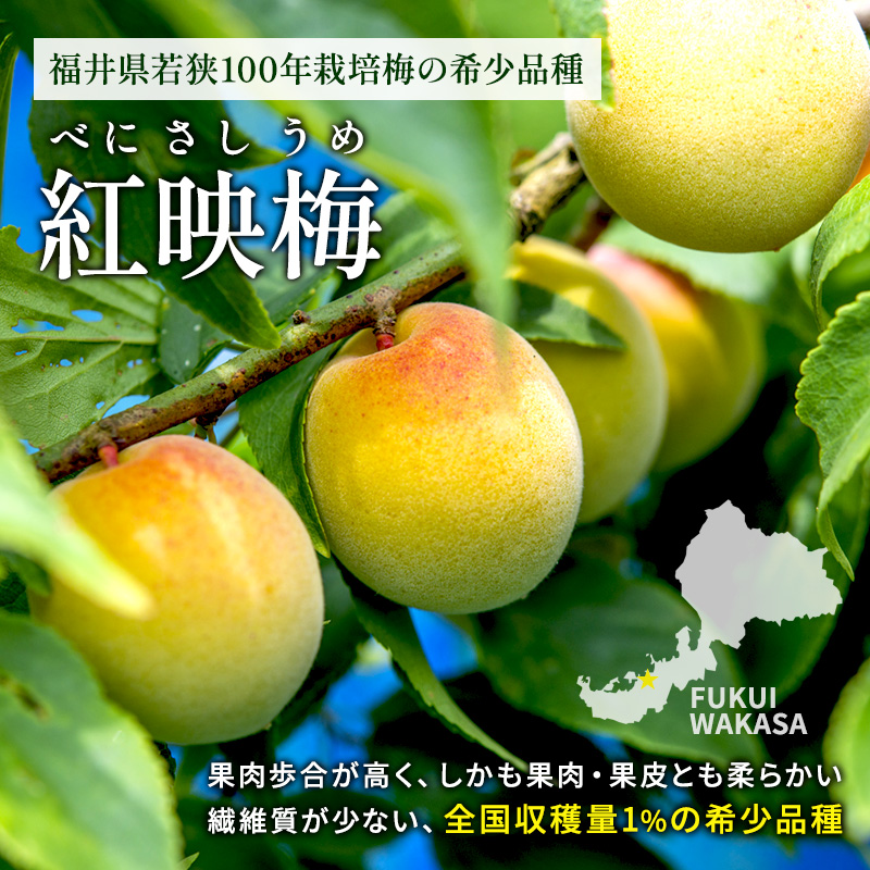 無糖の梅酒BENICHU38°（750ml×3本） お酒 洋酒 リキュール