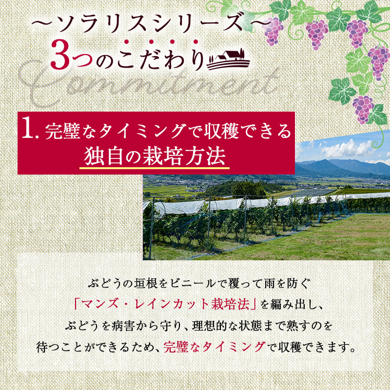 ワイン 信州ワイン 赤 ソラリス 千曲川 カベルネ・ソーヴィニヨン 750ml×1本 赤ワイン お酒 ぶどう酒 タンニン 完熟した香り 果実味 スパイシー 晩酌 おうちディナー 飲み物 家飲み 宅飲み