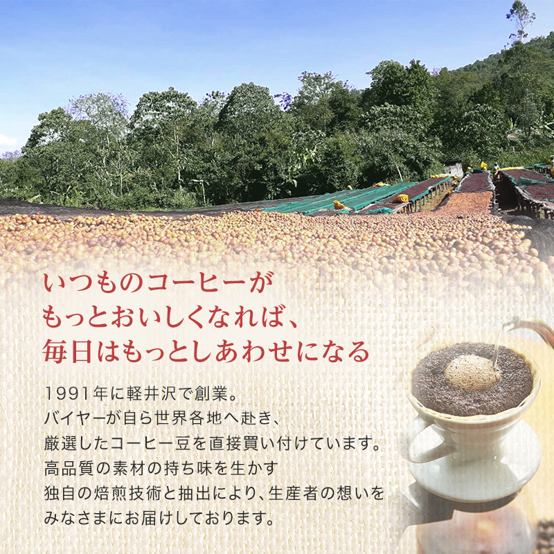 ドリップバッグ 丸山珈琲のブレンド 50個入り定期便4回