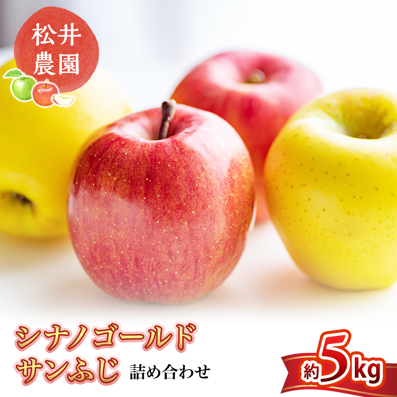 りんご サンふじ シナノゴールド 詰め合わせ 約5kg フルーツ 果物 甘い 林檎 セット