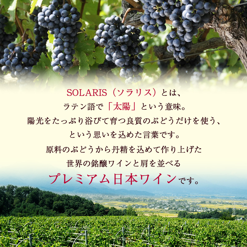 ワイン 信州ワイン 赤 ソラリス 千曲川 カベルネ・ソーヴィニヨン 750ml×1本 赤ワイン お酒 ぶどう酒 タンニン 完熟した香り 果実味 スパイシー 晩酌 おうちディナー 飲み物 家飲み 宅飲み