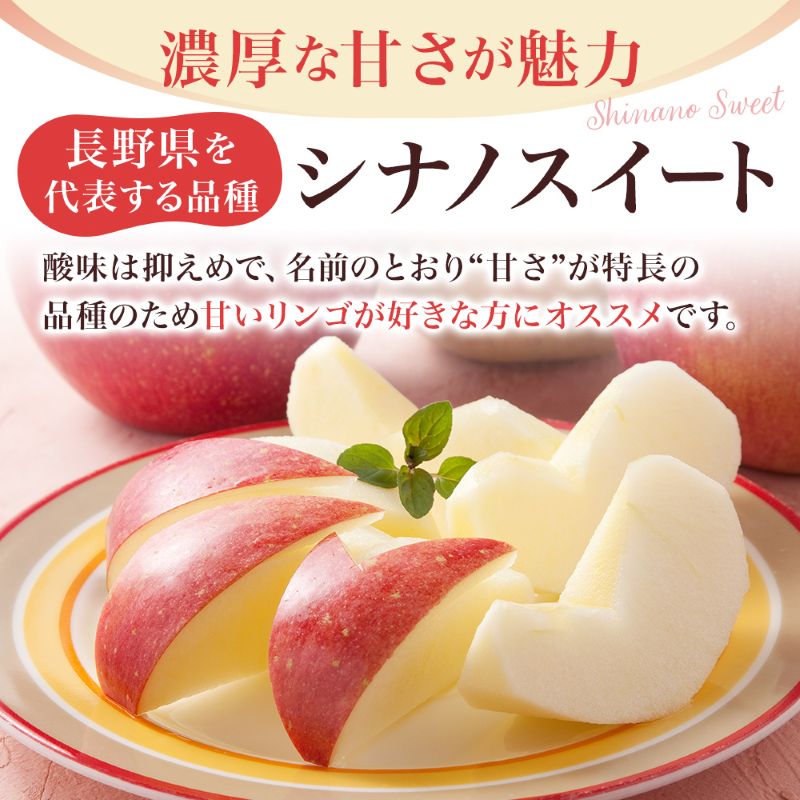【2026年10月中旬～発送予定】 先行予約 訳あり りんご シナノスイート 約10kg 24～40玉入 家庭用 フルーツ 果物 甘い 訳あり おいしい 林檎