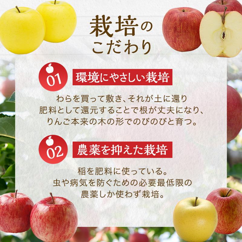 信州りんご三兄弟　りんごジュース3本入 秋映 シナノスイート シナノゴールド 信州 長野 お土産 お取り寄せ スイーツ 詰め合わせ 飲み比べ 果実飲料 リンゴ 林檎 アップル セット 