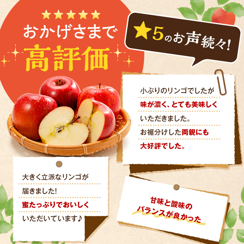 【2026年11月下旬～発送予定】先行予約 訳あり りんご サンふじ 約10kg 24～40玉入 家庭用 フルーツ 果物 甘い おいしい 林檎 リンゴ