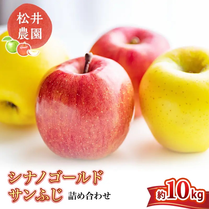 りんご サンふじ シナノゴールド 詰め合わせ 約10kg フルーツ 果物 甘い 林檎 セット