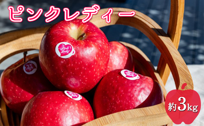 中松井農園 ピンクレディー約3kg 12～15玉 果物 フルーツ りんご 長野県産 信州 信州のリンゴ 酸味 小ぶり 芳醇 風味 クッキングアップル デザート 食後 爽やかな酸味 希少