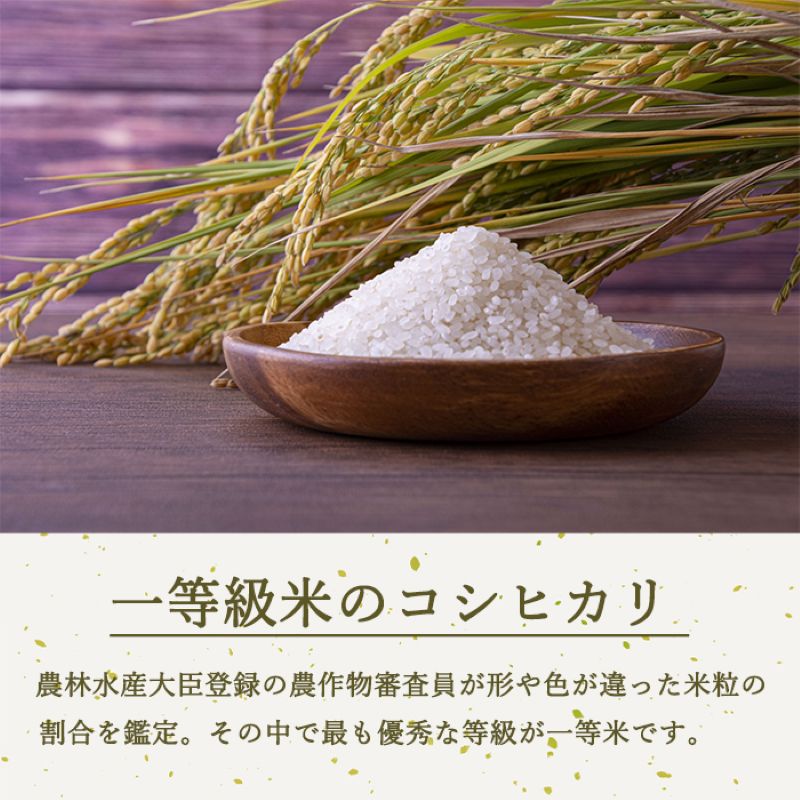 令和8年産先行予約 ベストファーマーズ賞受賞 コシヒカリ 無洗米 2kg 無農薬 無添加 お米 チャック付 小分け 少量 少量パック お試し 白米 精米 産地直送 一等米 送料無料 長野 長野県 小諸市