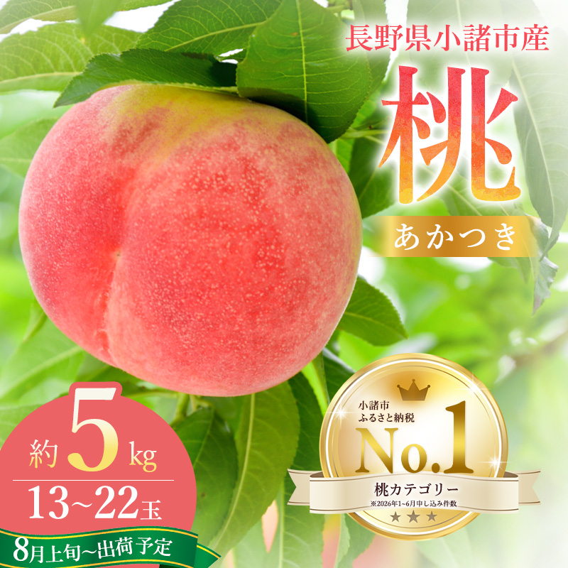 【2026年8月上旬～発送予定】桃 先行予約 浅間水蜜桃 あかつき 約5kg 秀品 13～22玉 贈答品 フルーツ 果物 白桃 白鳳 甘い 冷蔵