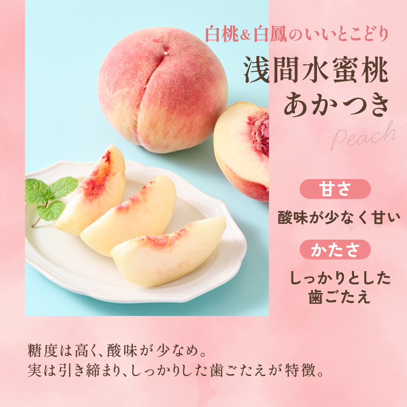 【2026年8月上旬～発送予定】桃 先行予約 浅間水蜜桃 あかつき 約5kg 秀品 13～22玉 贈答品 フルーツ 果物 白桃 白鳳 甘い 冷蔵