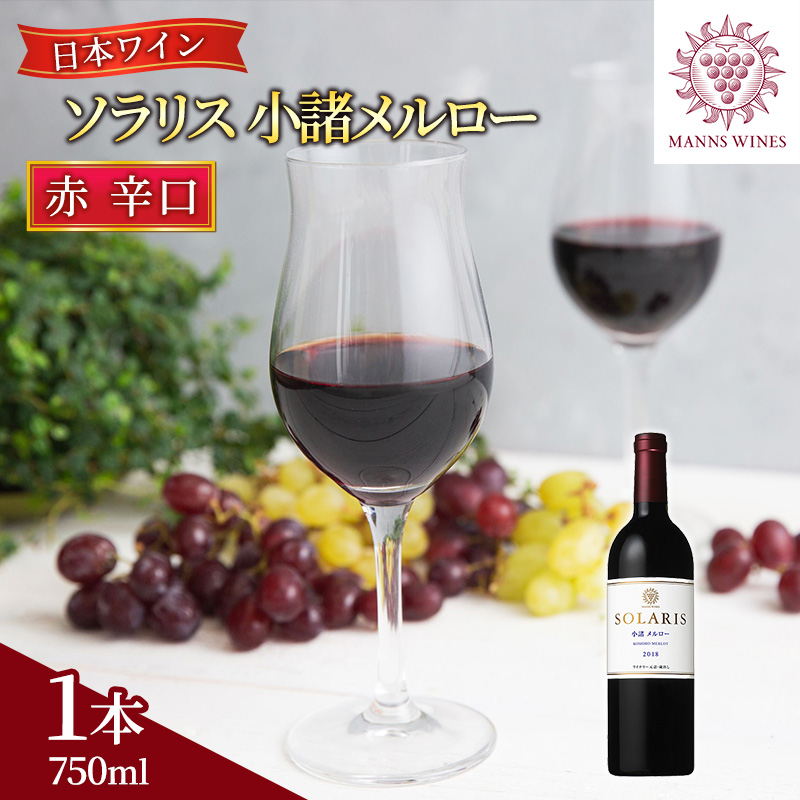 ワイン 信州ワイン 赤 ソラリス 小諸 メルロー 750ml×1本 ワイン 赤ワイン マンズワイン 酒 お酒 洋酒 果実酒 ぶどう酒 長野 長野県小諸市