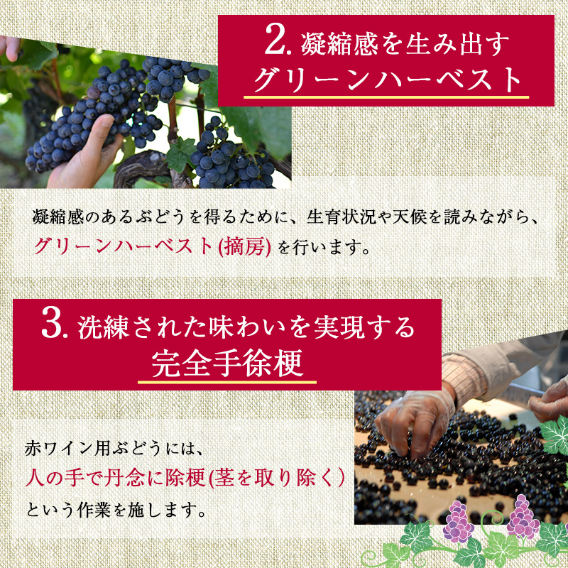 ワイン 信州ワイン 赤 ソラリス 千曲川 カベルネ・ソーヴィニヨン 750ml×1本 赤ワイン お酒 ぶどう酒 タンニン 完熟した香り 果実味 スパイシー 晩酌 おうちディナー 飲み物 家飲み 宅飲み
