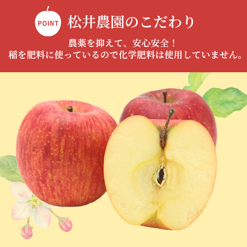 りんご 家庭用 サンふじ 約3.5kg フルーツ 果物 甘い 林檎